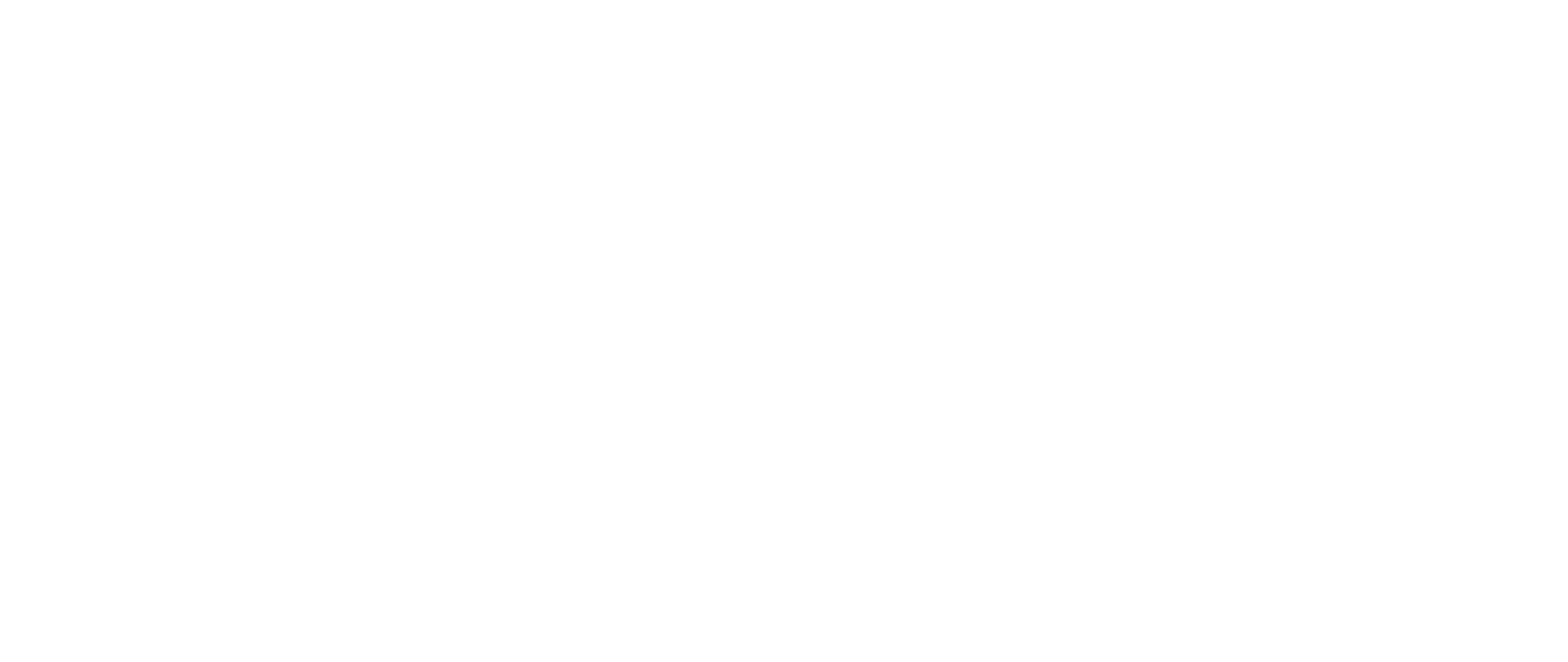SDG - Logo White (1)