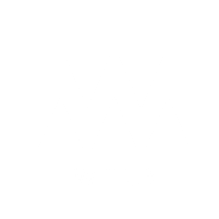 wittur logo-1